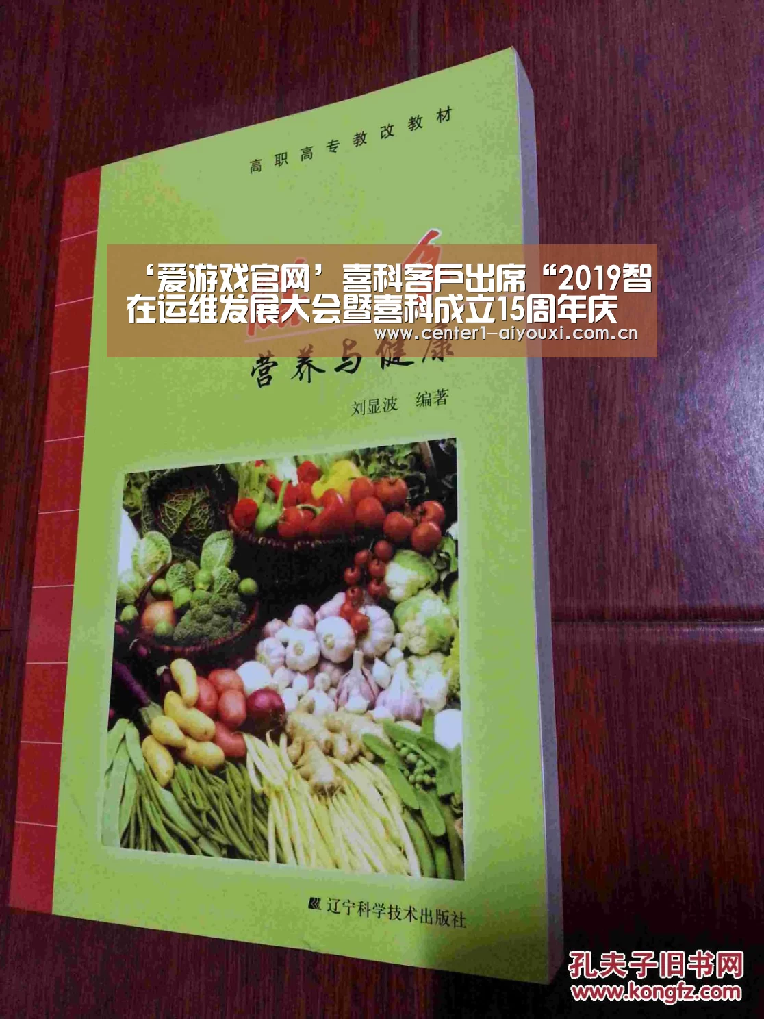 ‘爱游戏官网’喜科客户出席“2019智在运维发展大会暨喜科成立15周年庆祝晚宴”并分享智慧运维项目经验(图2) 爱游戏app